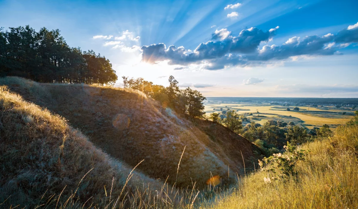 2023 dobrym czasem aby  kupić para cord