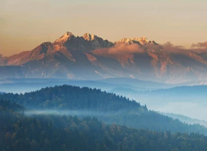 kupić wyposażenie domu? Dokładnie!