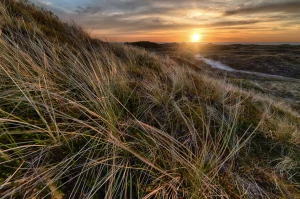 6 Sprawdzonych Sposobów Aby naprawić klimatyzację